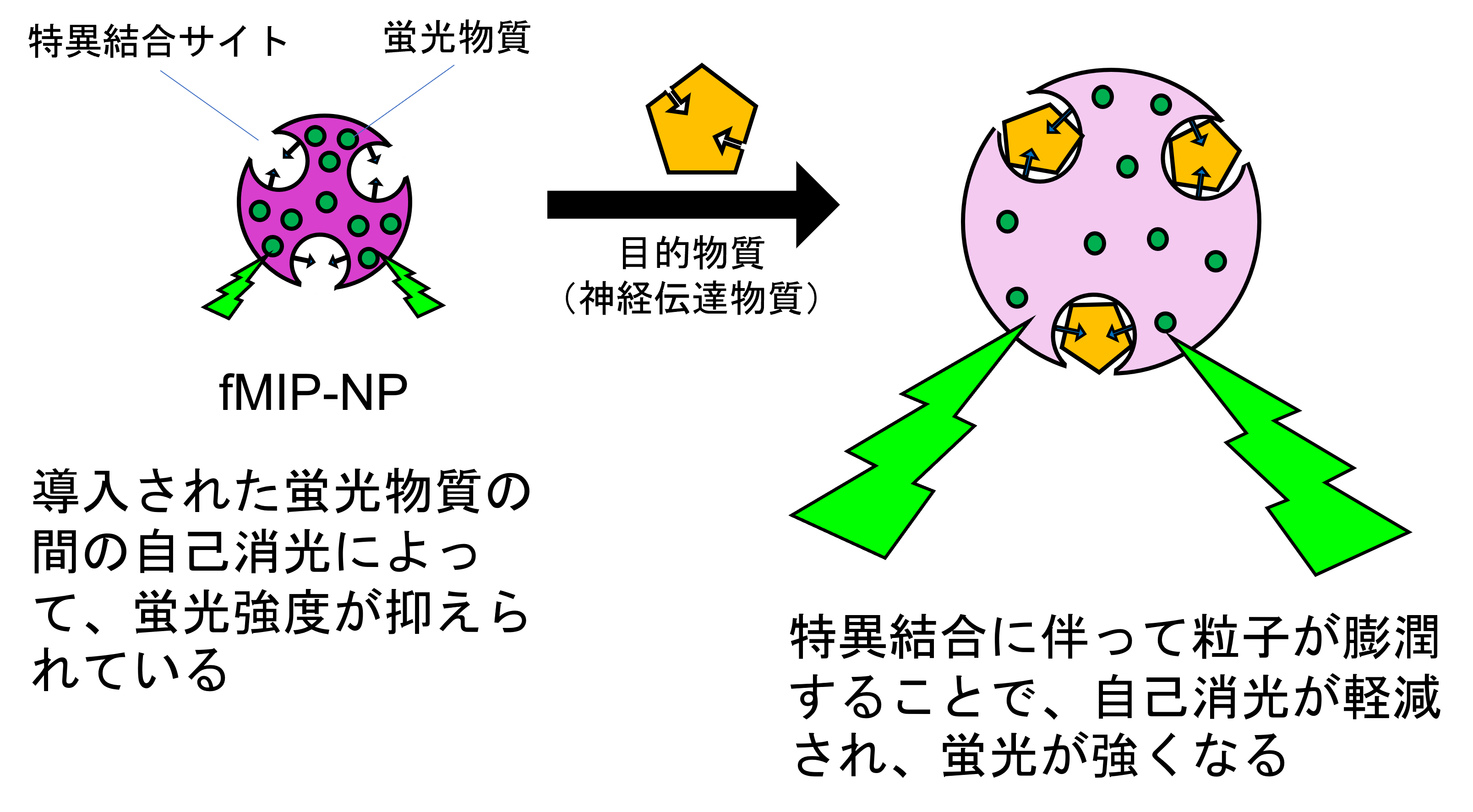 図1(背景白)