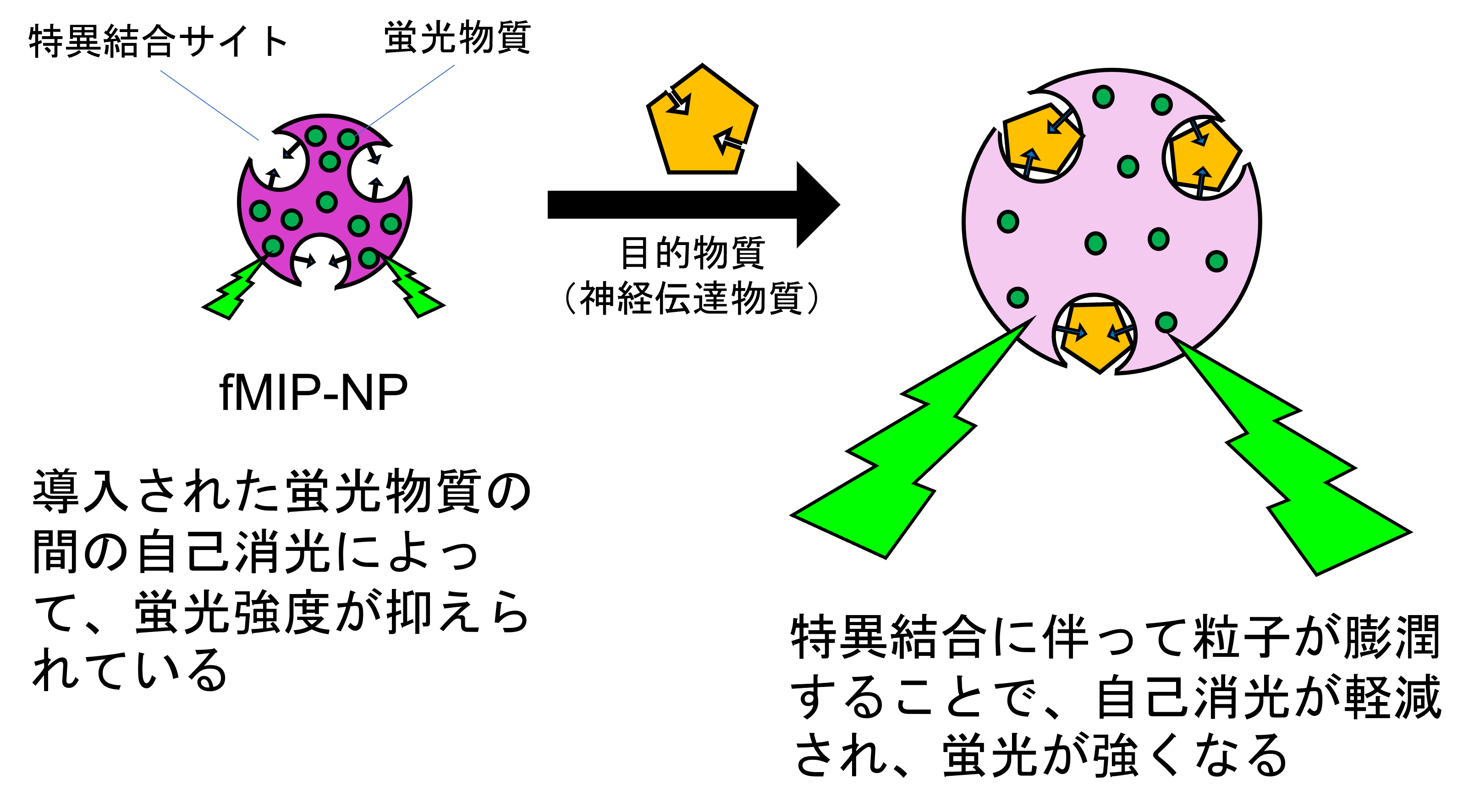 図1（背景白）