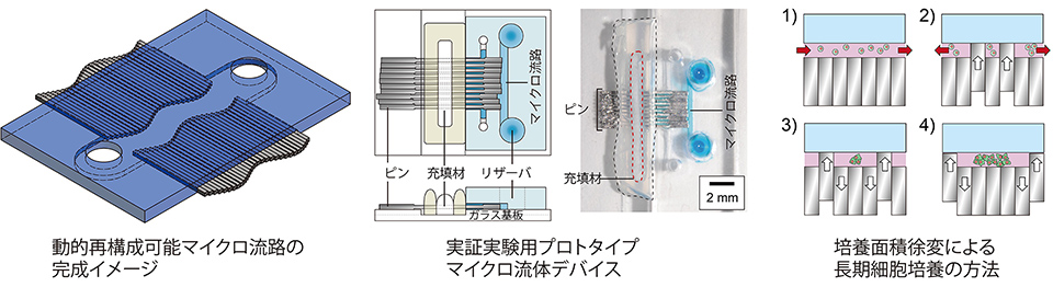 1デバイスで細胞の培養や分析が自由にできる可動式マイクロ流体デバイスを開発 芝浦工業大学